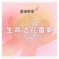 生命之花靈氣